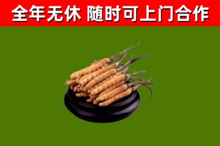 德江县回收冬虫夏草